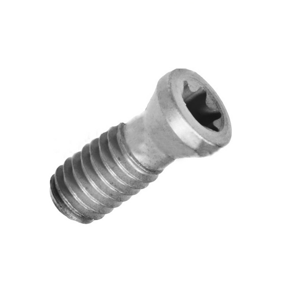 M2 x 0.4 Torx Screw T6 - 5mm OAL