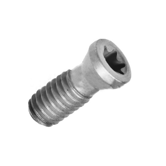 F26 aluminium M6 Torx T25 schroef 7075 Din912 legering bolt F26 aluminium M6 Torx T25 schroef 7075 Din912 legering bolt